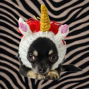 Zoo Snoods Unicorn Dog Snood Small Rainbow Knit Halloween Costume